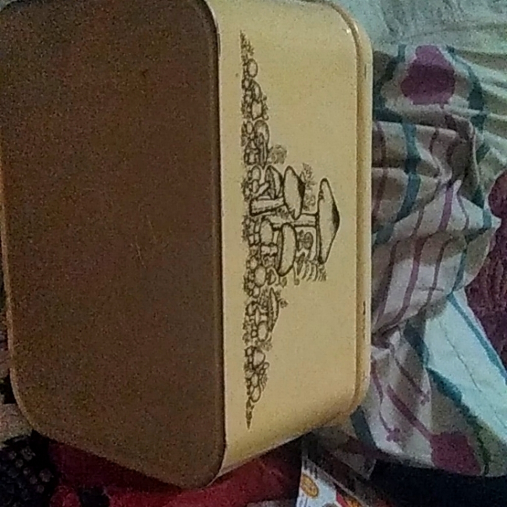 Cheinco 1970s Fancy mushroom tin. Bread Box. Kitchen With Lid Rare